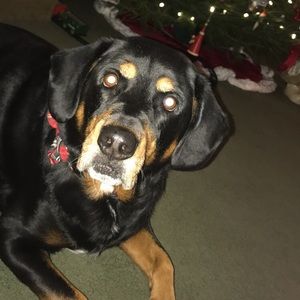 Meet your Posher, Jill